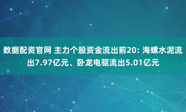 数据配资官网 主力个股资金流出前20: 海螺水泥流出7.97亿元、卧龙电驱流出5.01亿元