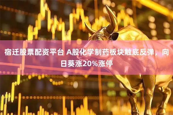 宿迁股票配资平台 A股化学制药板块触底反弹，向日葵涨20%涨停