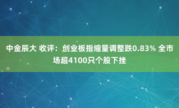 中金辰大 收评：创业板指缩量调整跌0.83% 全市场超4100只个股下挫